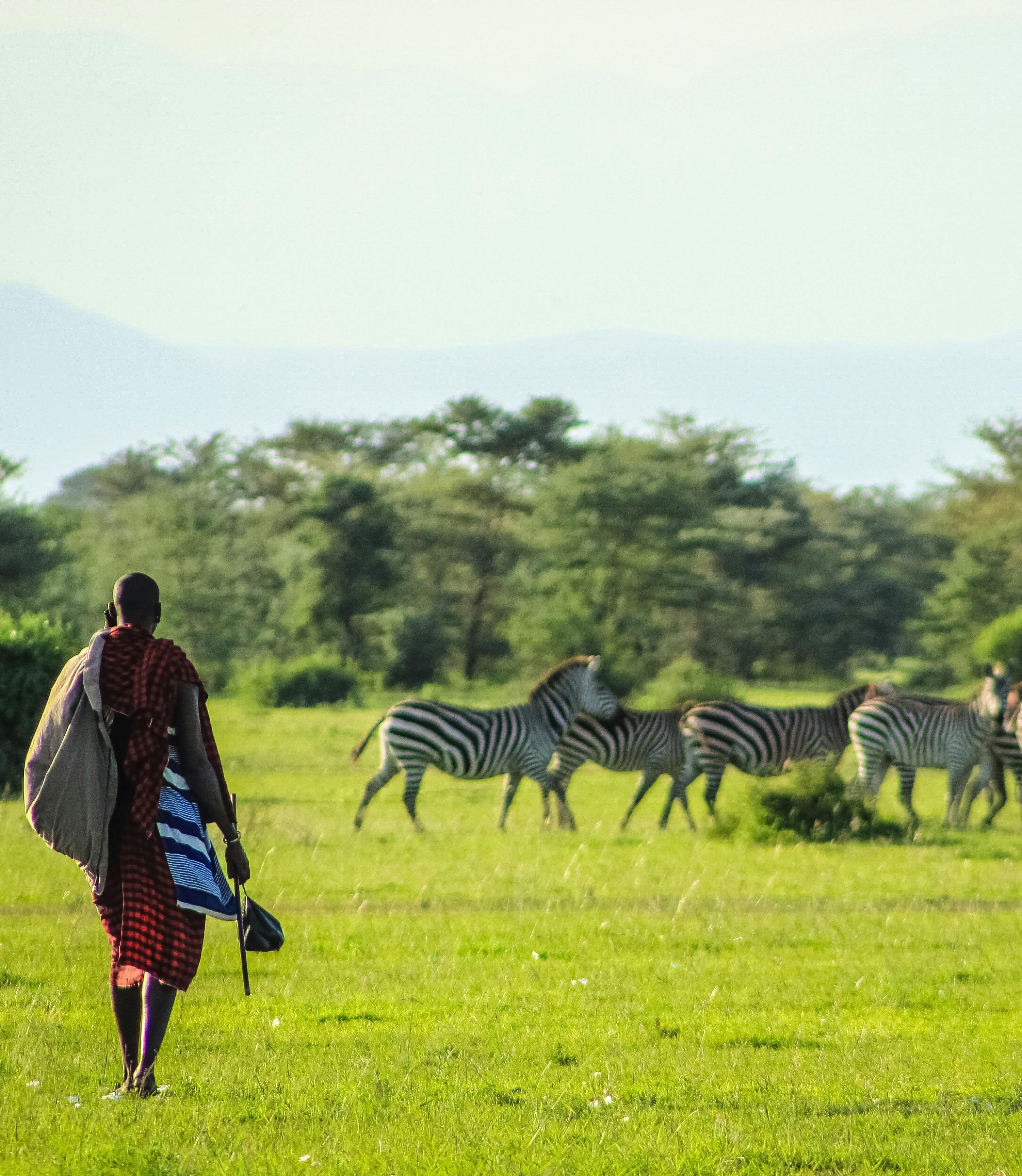 Safari Experiences